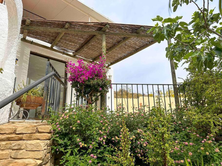 Villa Los Faramondos Naturehouse Turre Exterior photo
